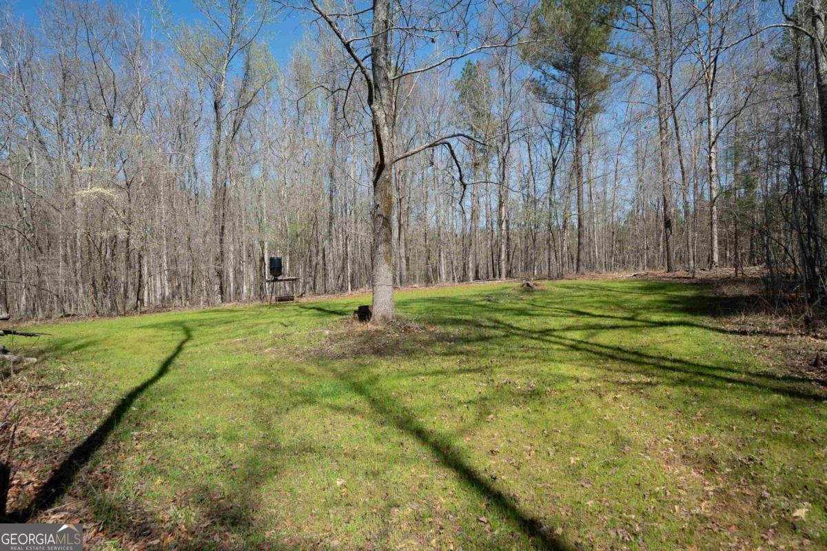 0 Carrs Station Road Sparta, GA 31087 - Photo 37 of 49