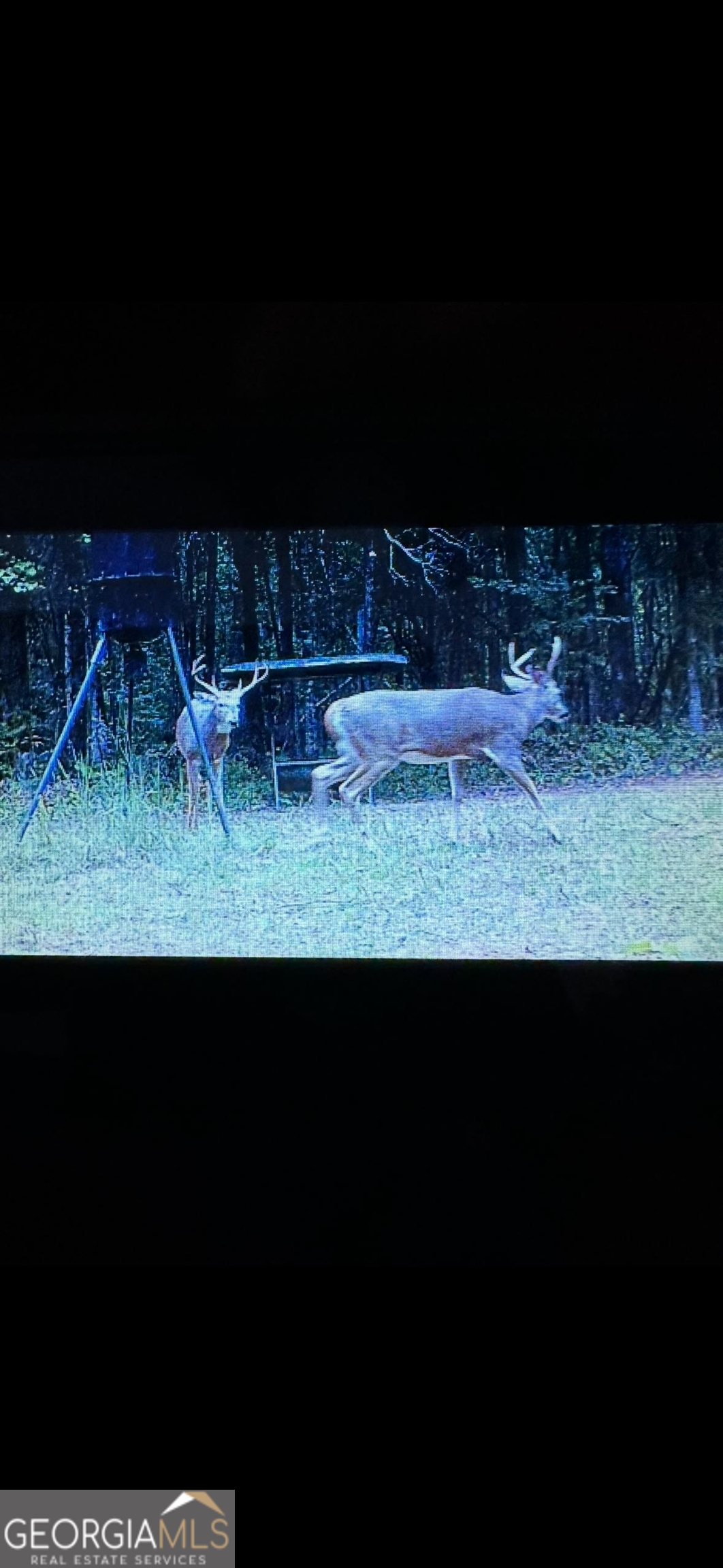 0 Carrs Station Road Sparta, GA 31087 - Photo 38 of 49