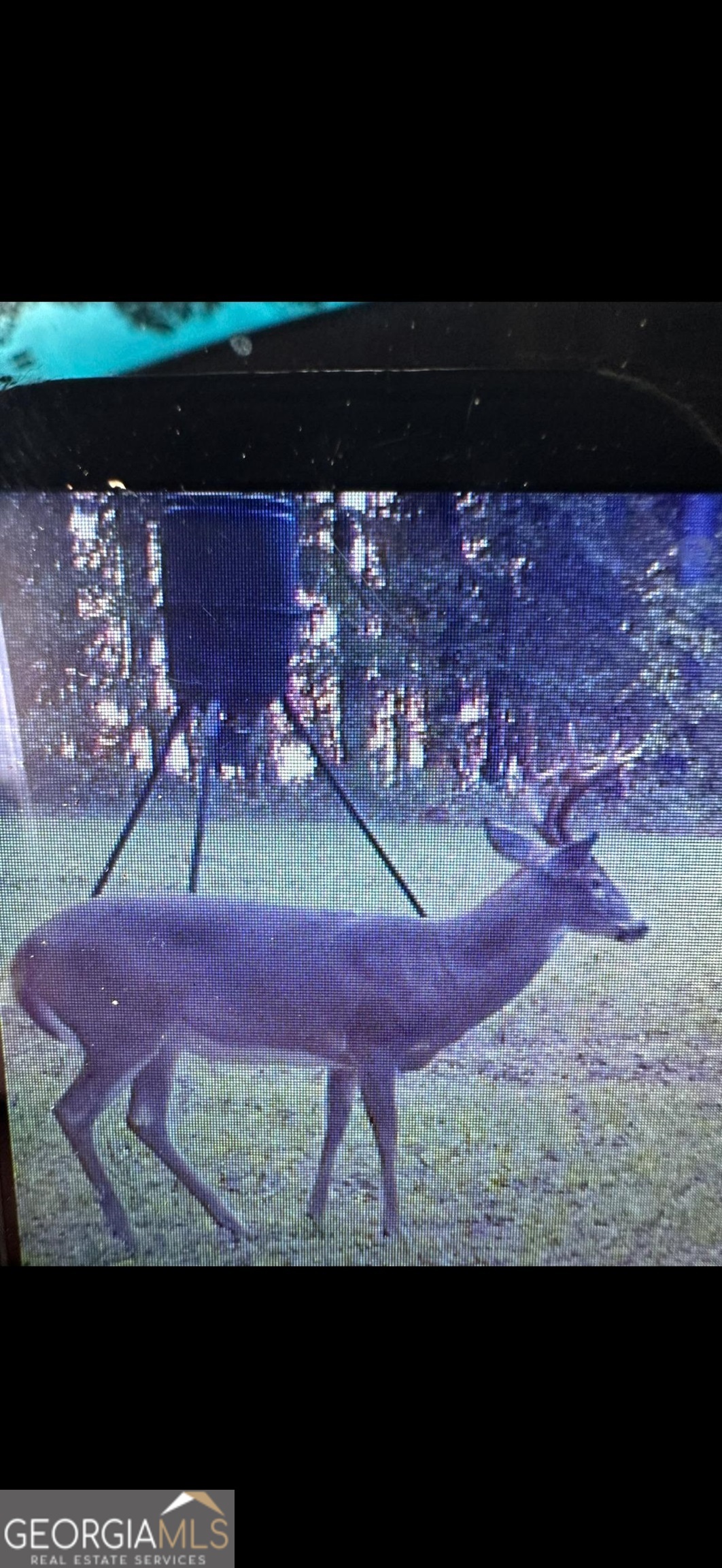 0 Carrs Station Road Sparta, GA 31087 - Photo 40 of 49