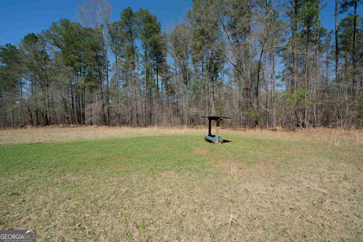 0 Carrs Station Road Sparta, GA 31087 - Photo 4 of 49