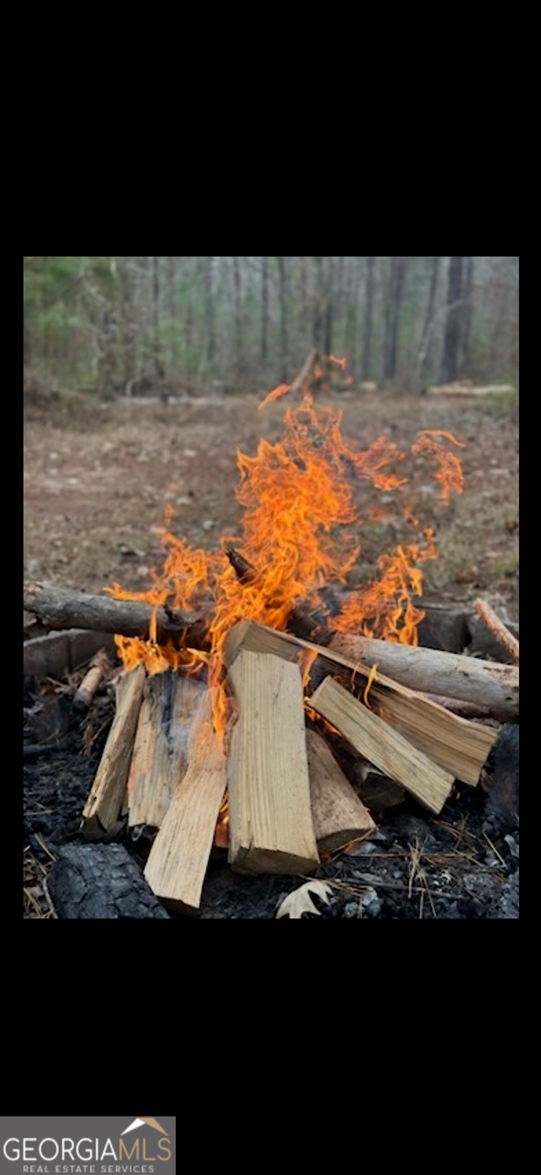 0 Carrs Station Road Sparta, GA 31087 - Photo 44 of 49