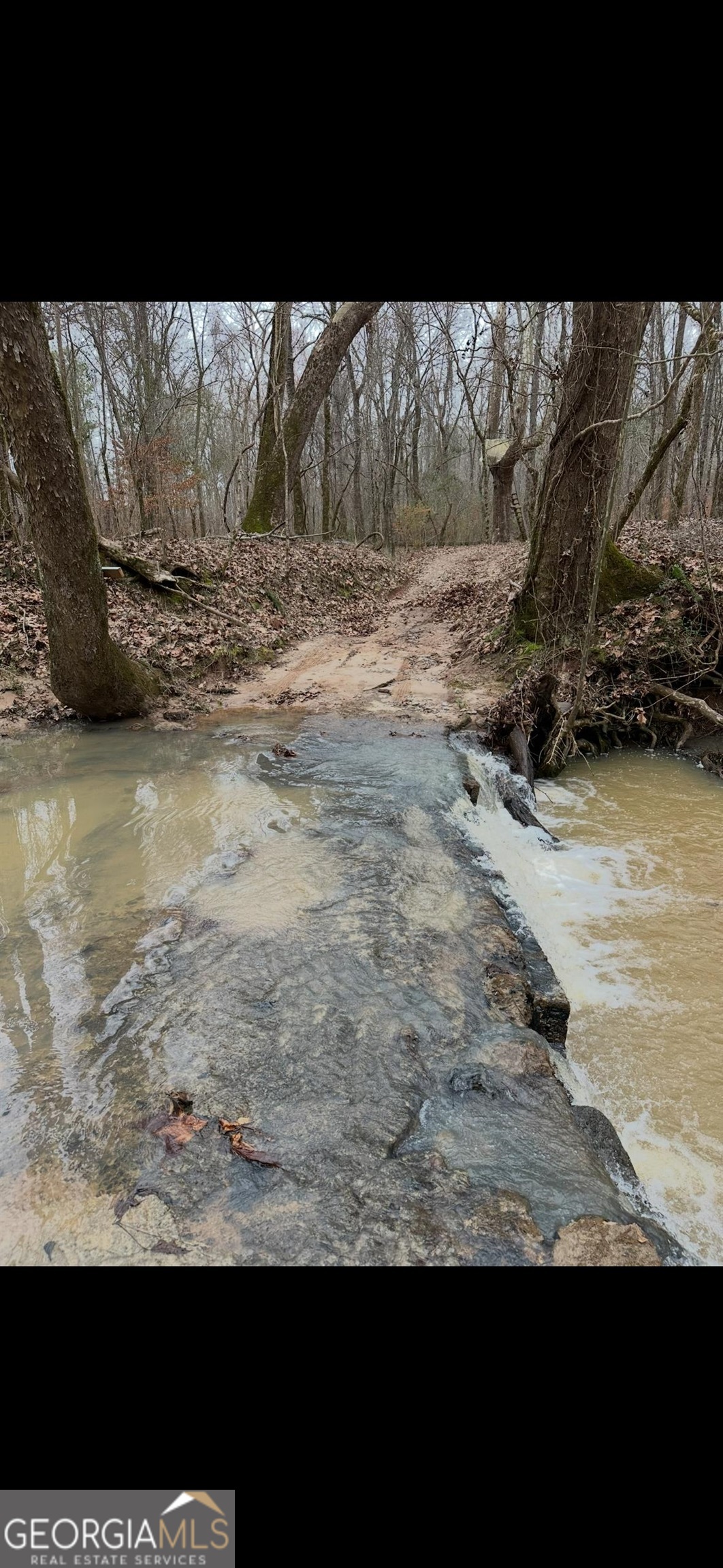 0 Carrs Station Road Sparta, GA 31087 - Photo 46 of 49