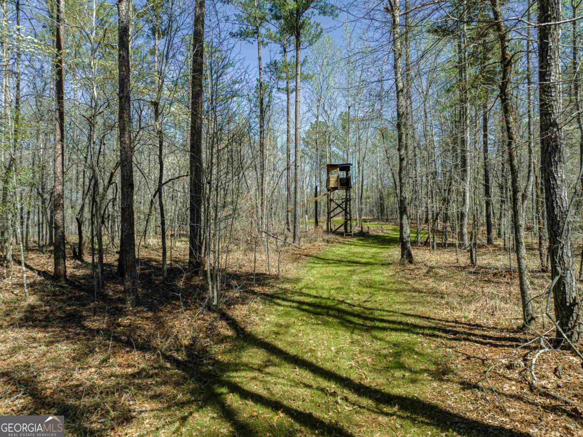 0 Carrs Station Road Sparta, GA 31087 - Photo 5 of 49