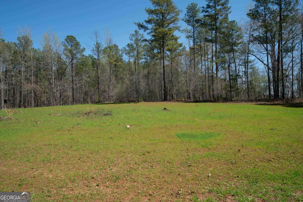 0 Carrs Station Road Sparta, GA 31087 - Photo 8 of 49