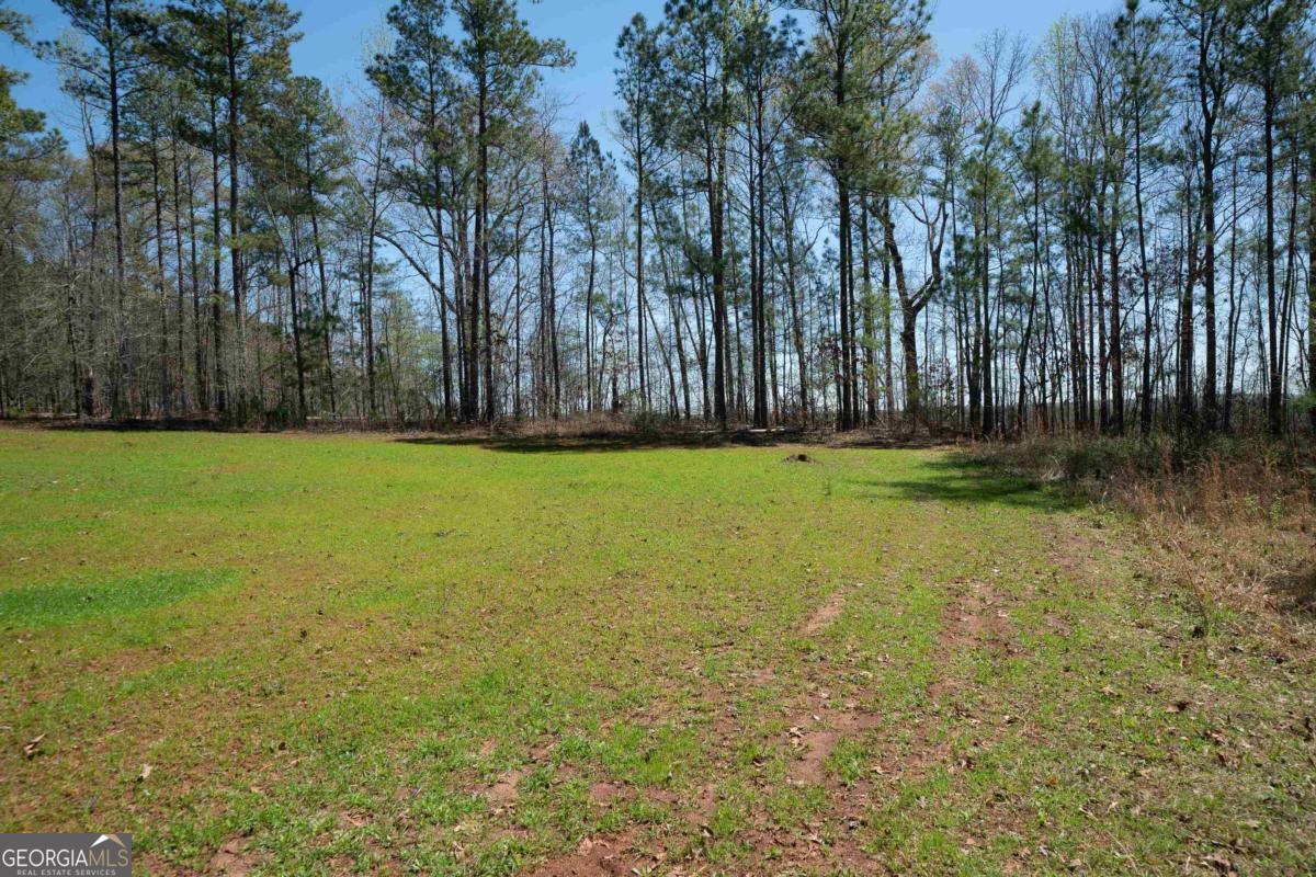 0 Carrs Station Road Sparta, GA 31087 - Photo 9 of 49