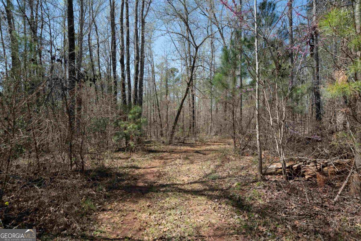 0 Carrs Station Road Sparta, GA 31087 - Photo 10 of 49