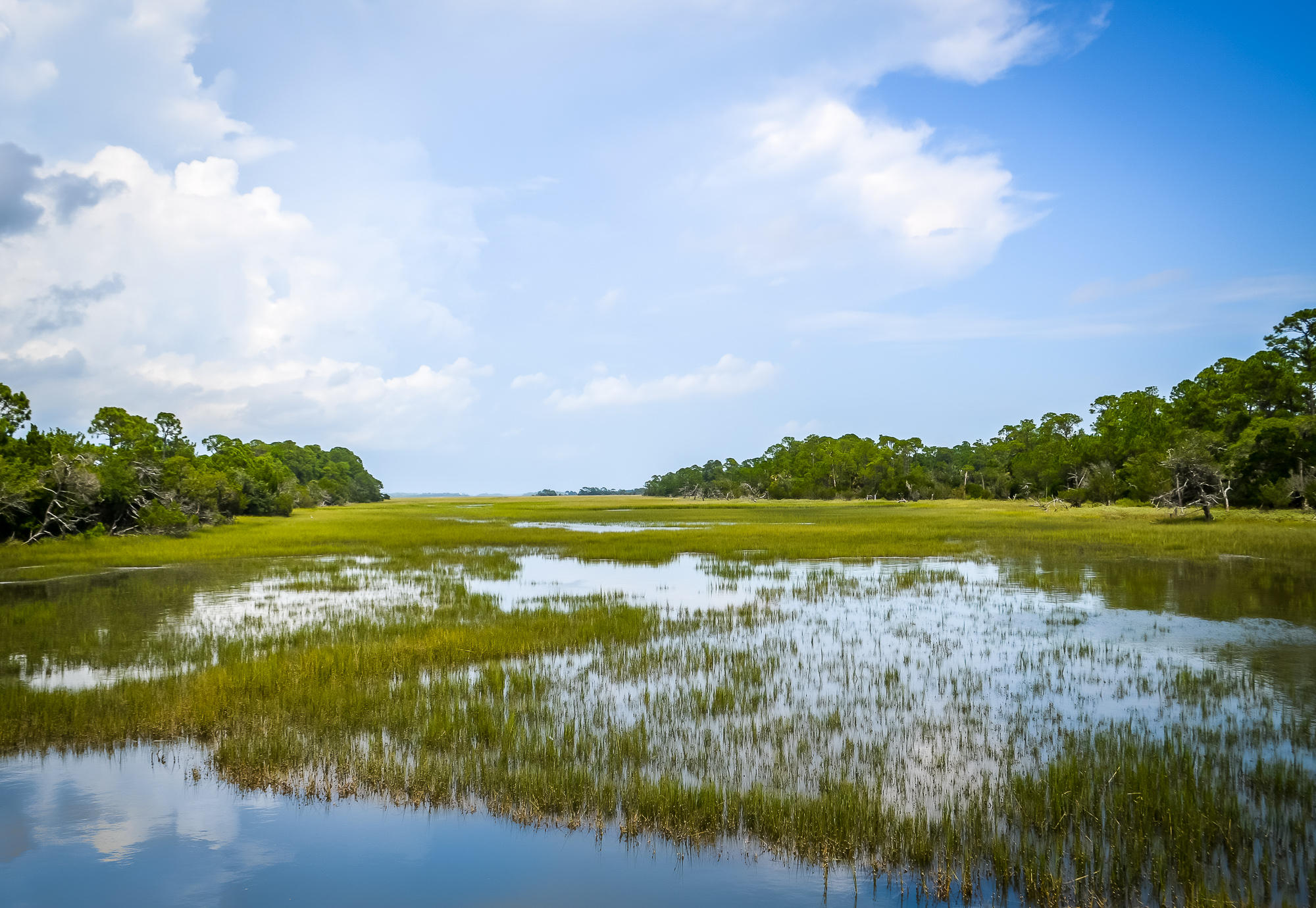 Lot40 Oyster Shell Road Kiawah Island, SC 29455 - Photo 1 of 14 14 Oyster Shell