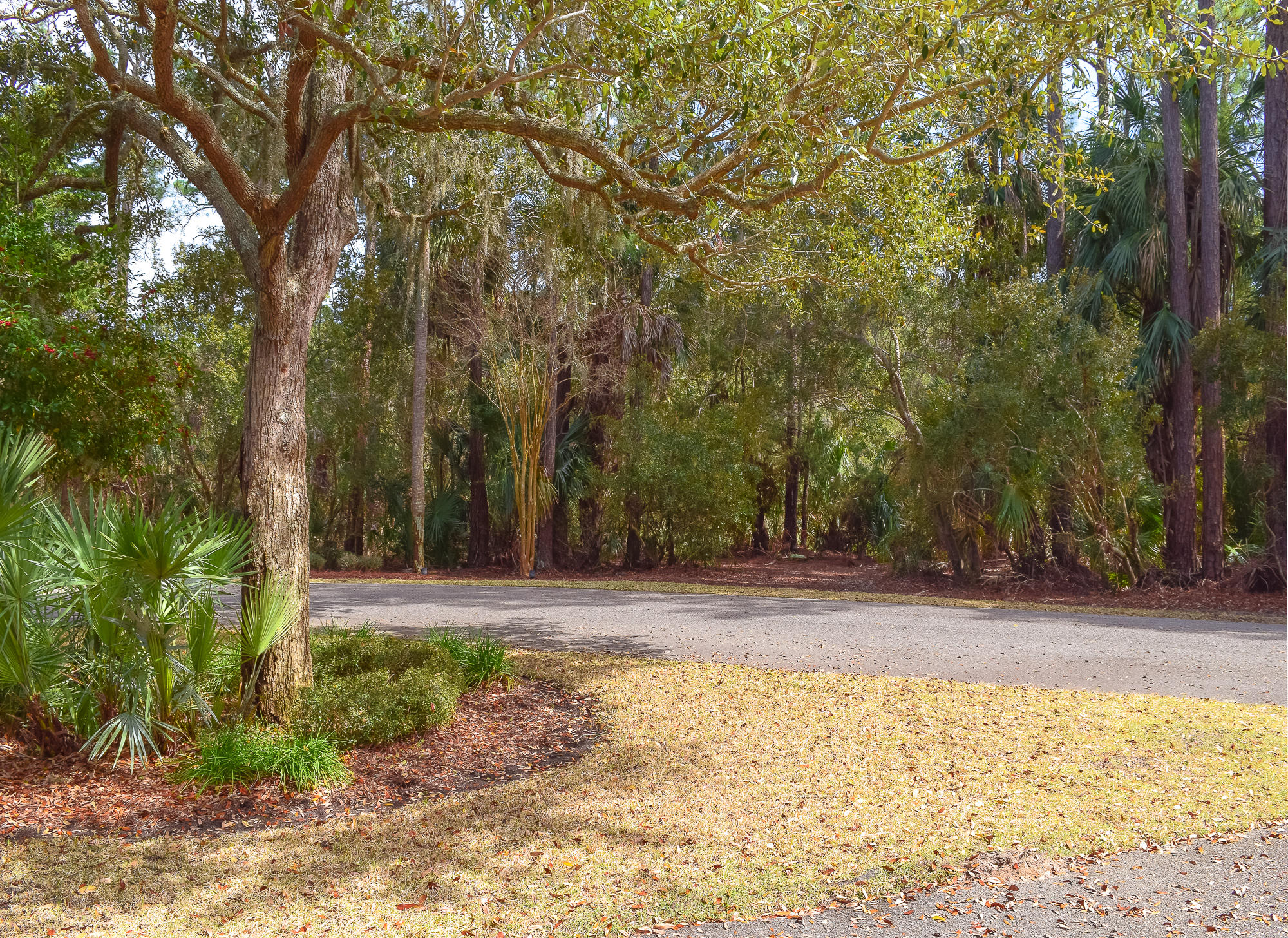 Lot40 Oyster Shell Road Kiawah Island, SC 29455 - Photo 4 of 14 14 Oyster Shell