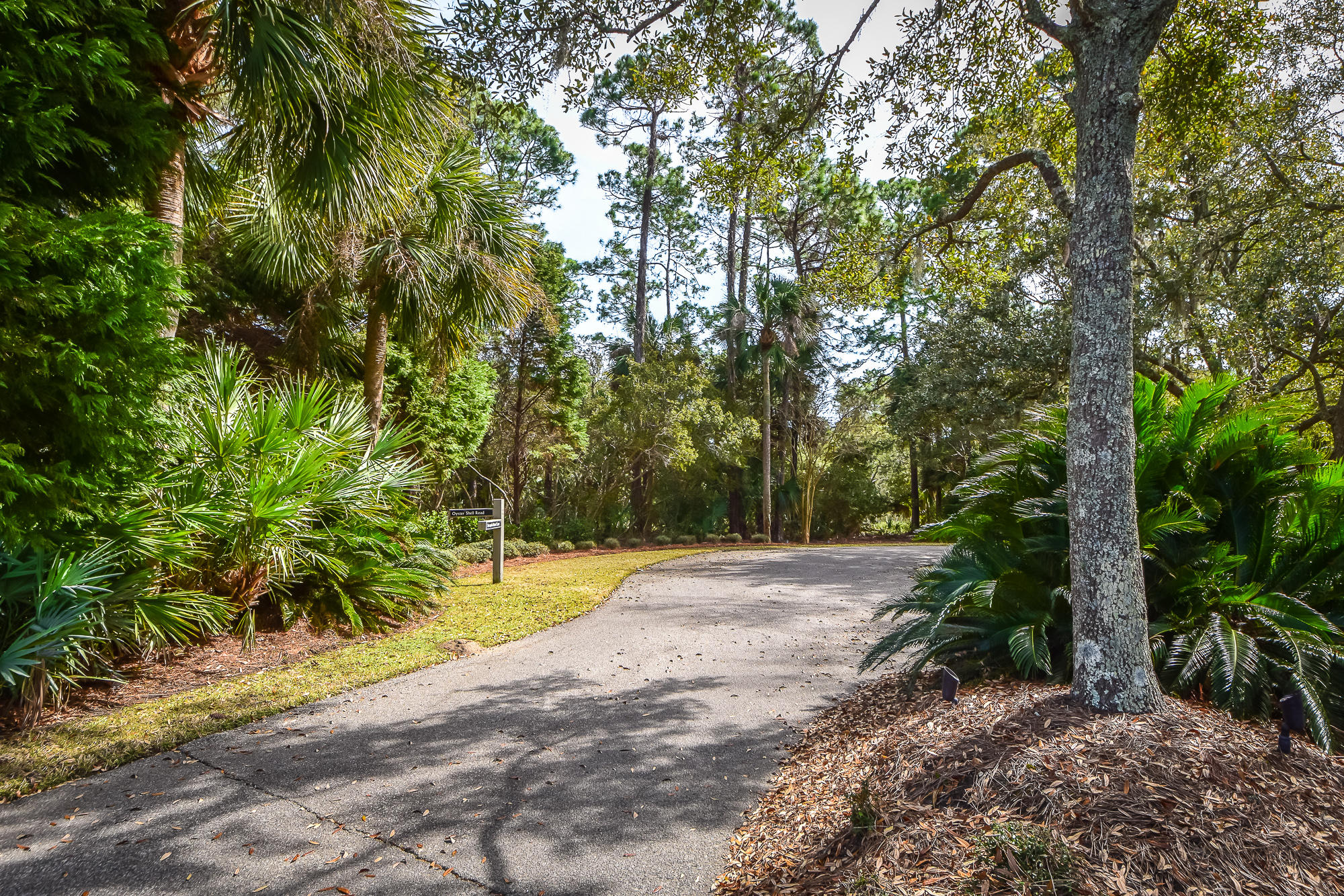 Lot40 Oyster Shell Road Kiawah Island, SC 29455 - Photo 5 of 14 14 Oyster Shell