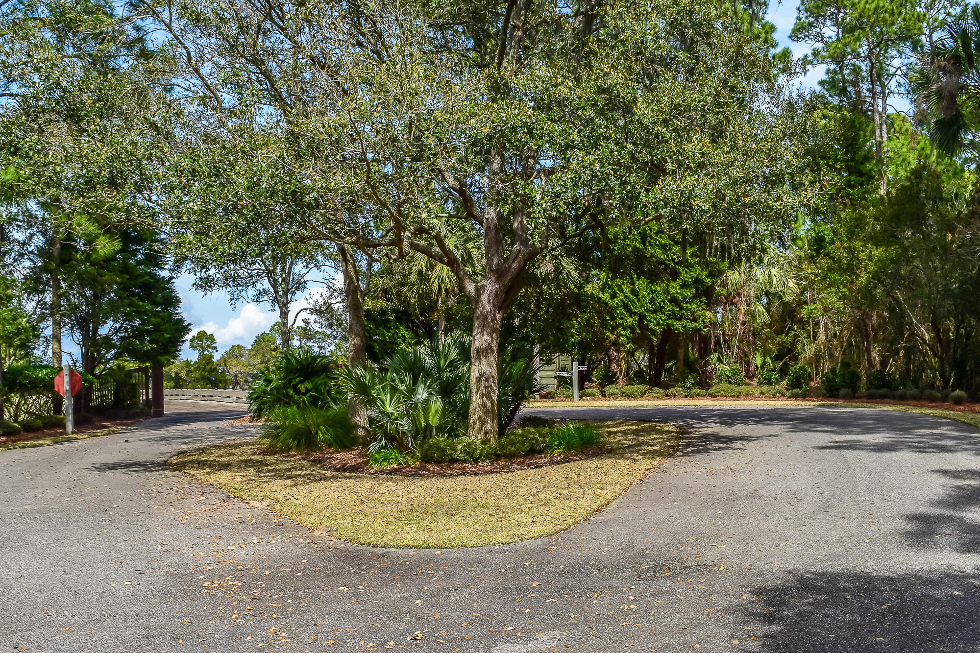 Lot40 Oyster Shell Road Kiawah Island, SC 29455 - Photo 7 of 14 14 Oyster Shell