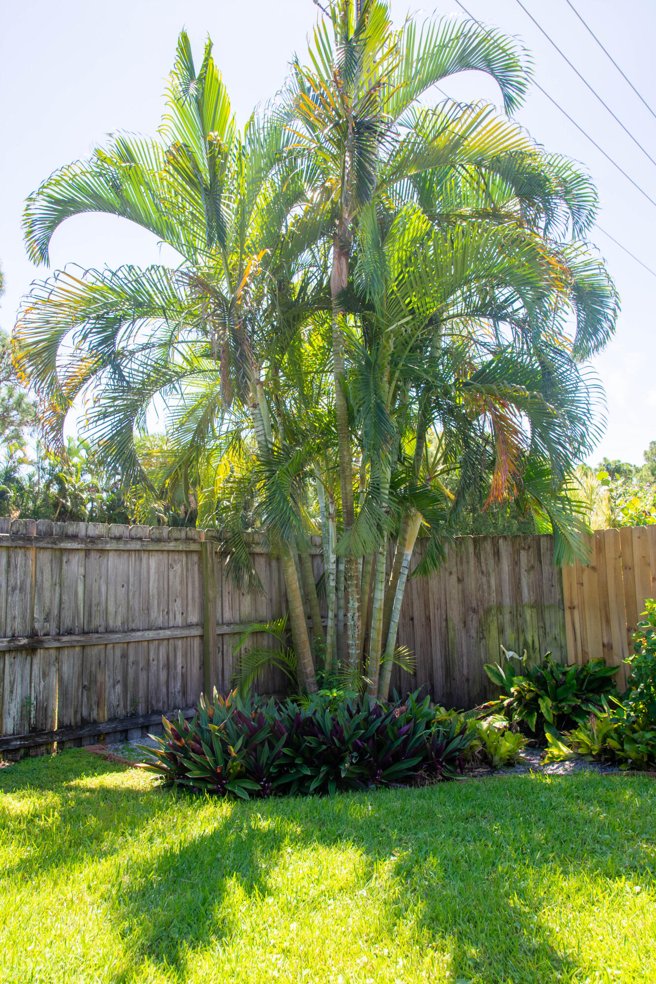127 Wandering Trail Jupiter, FL 33458 - Photo 24 of 28 127WT-17