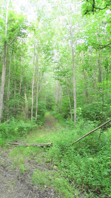 0 South Murray Road Caro, MI 48723 - Photo 4 of 14