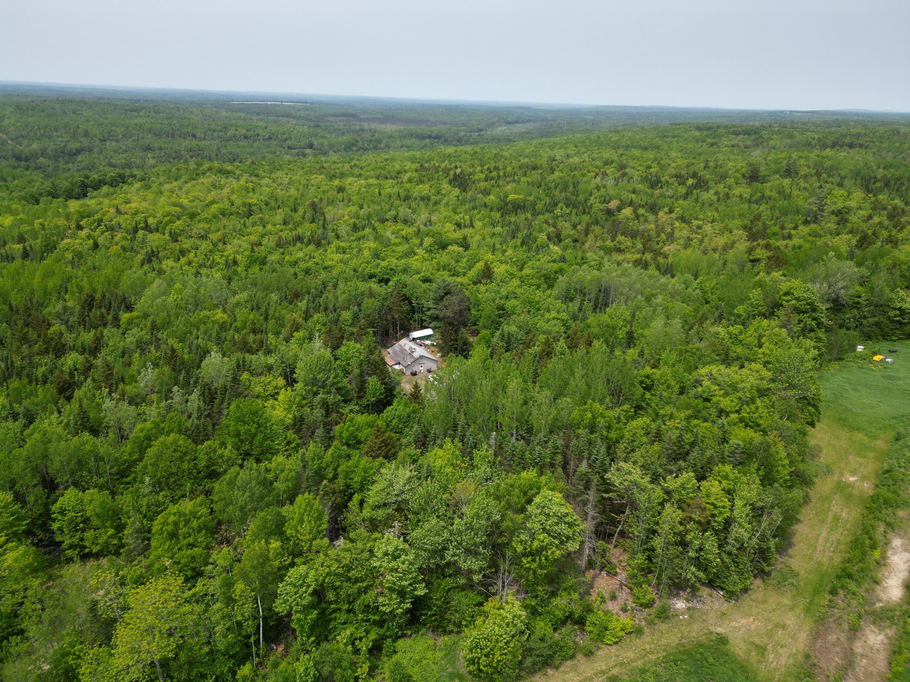 21 Bearadise Lane Springfield, ME 04487 - Photo 28 of 33 DJI_0149