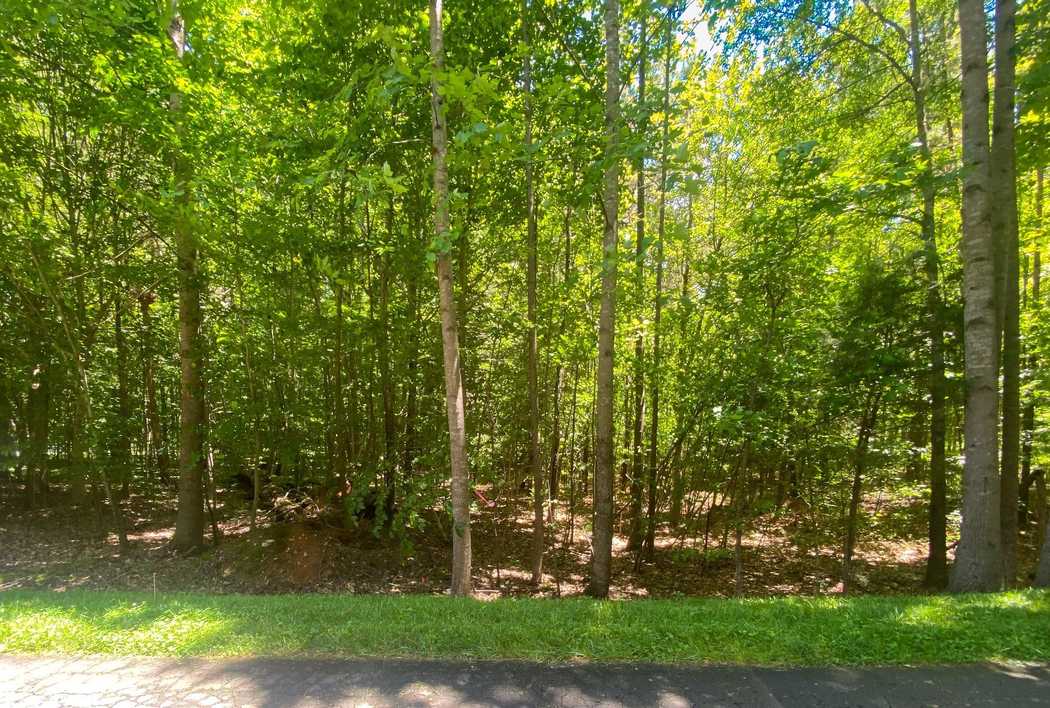 1.50-acre Durham Road Timberlake, NC 27583 - Photo 6 of 16 Photo 6