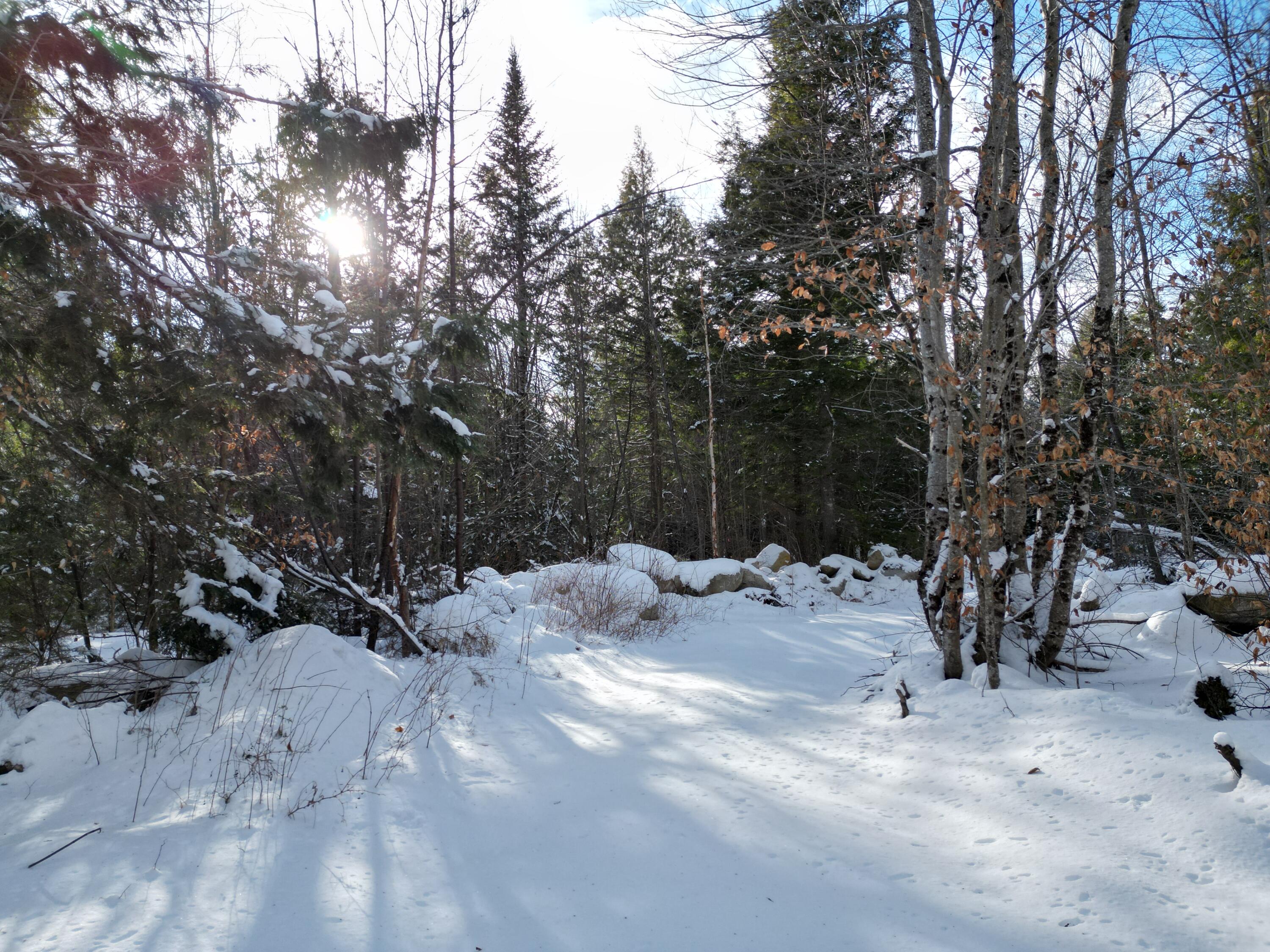 16 Crooked Pond Road Lincoln, ME 04457 - Photo 1 of 16 DJI_0953