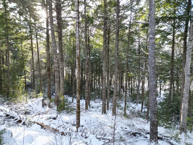 $120,000 | 16 Crooked Pond Road, Lincoln, ME 04457