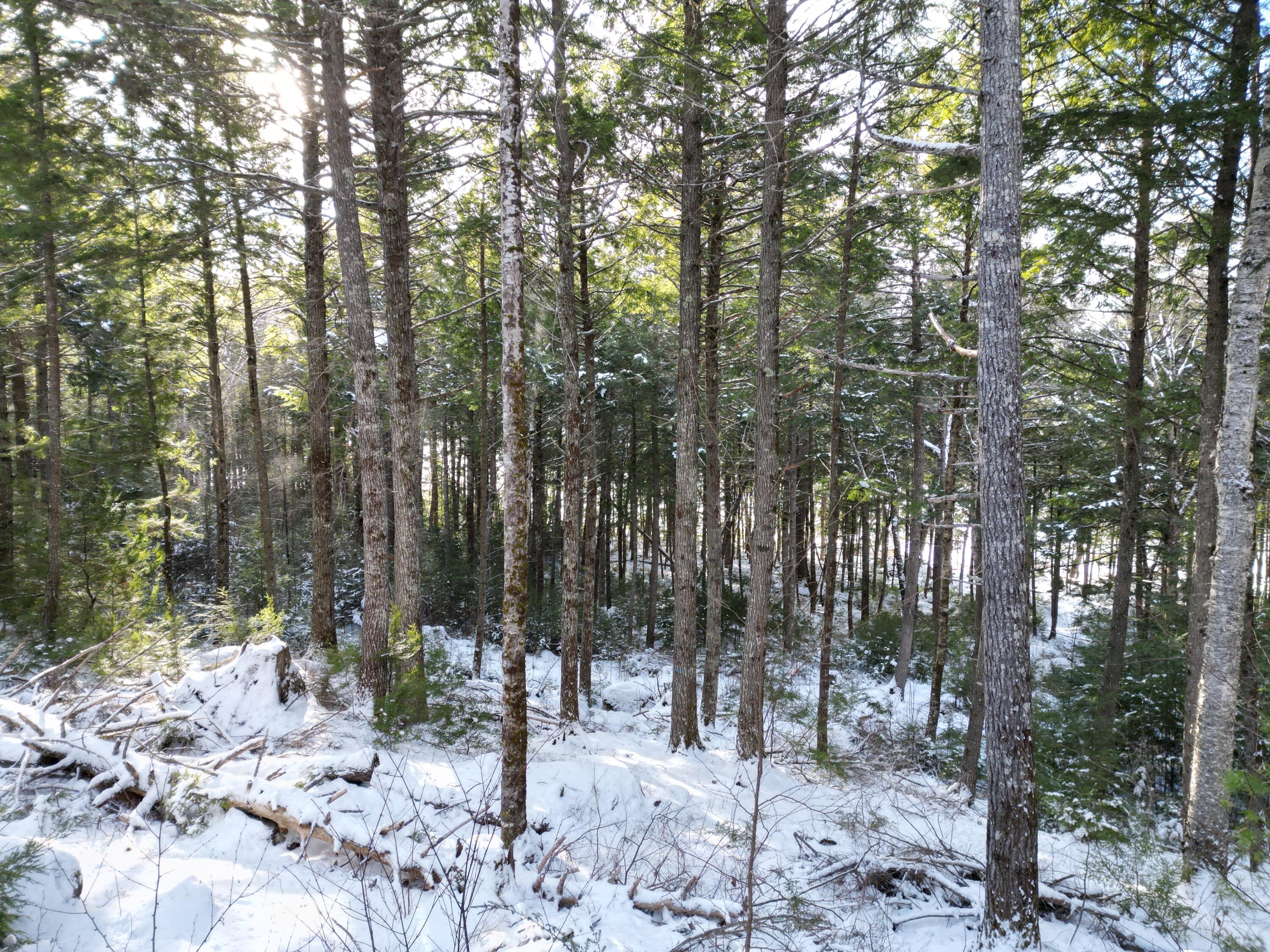 16 Crooked Pond Road Lincoln, ME 04457 - Photo 11 of 16 DJI_0963