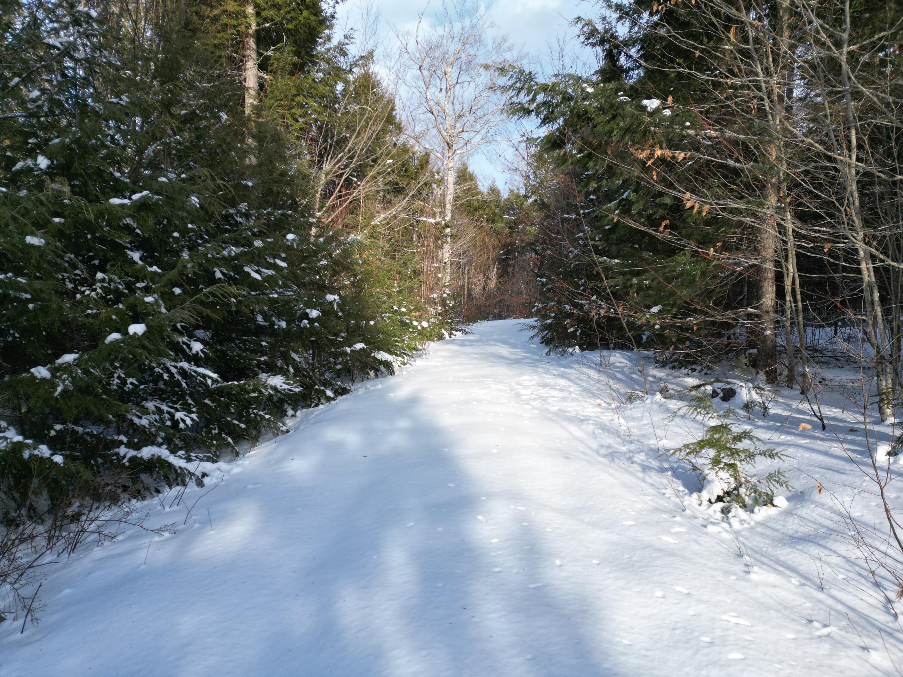 16 Crooked Pond Road Lincoln, ME 04457 - Photo 13 of 16 DJI_0965