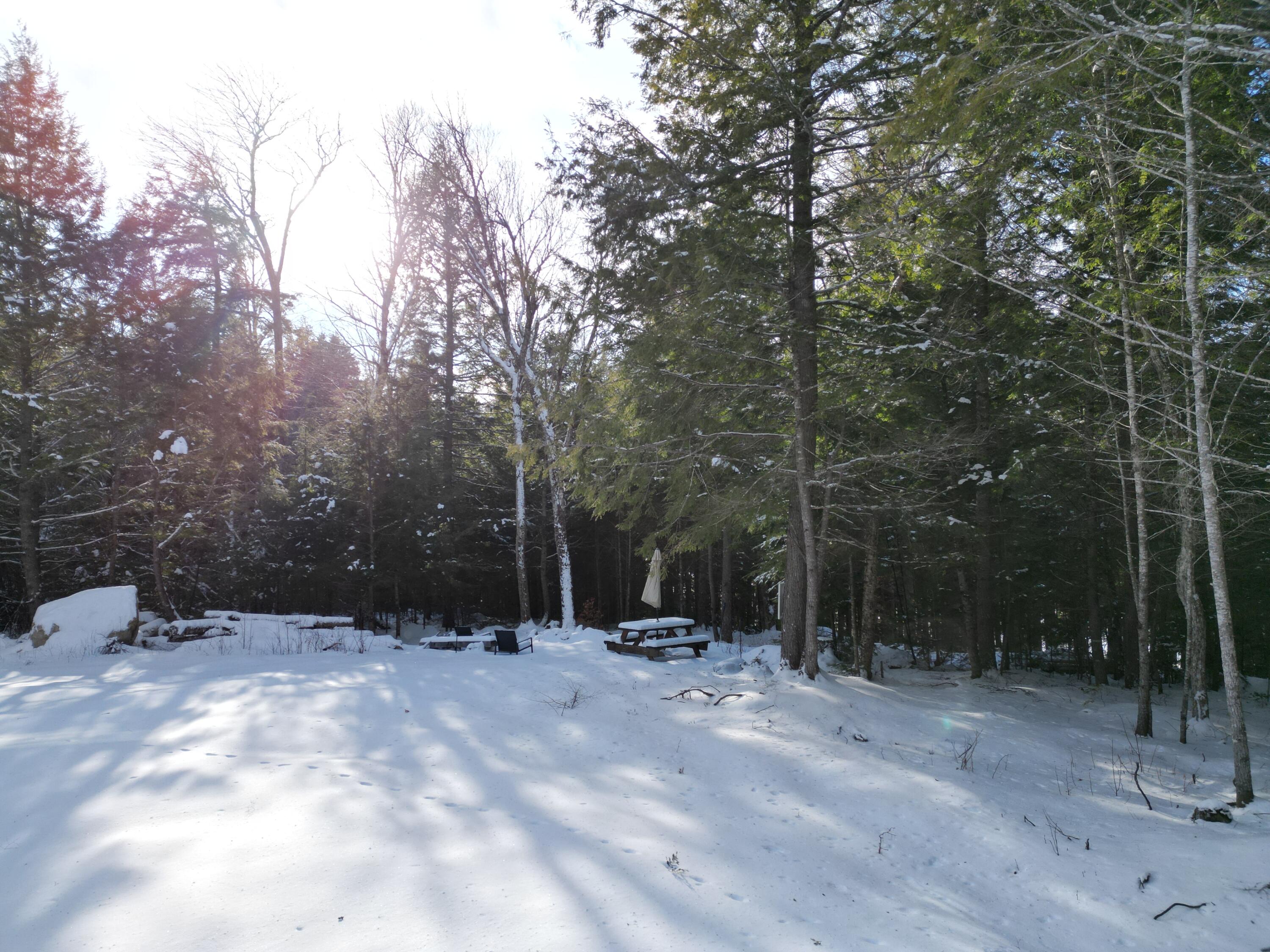 16 Crooked Pond Road Lincoln, ME 04457 - Photo 7 of 16 DJI_0959