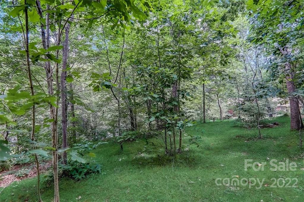2 Chipmunk Cove Road Asheville, NC 28804 - Photo 39 of 44 Gallery Image 39