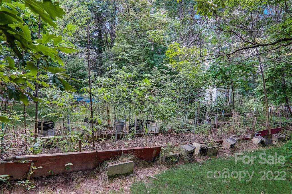 2 Chipmunk Cove Road Asheville, NC 28804 - Photo 41 of 44 Gallery Image 41