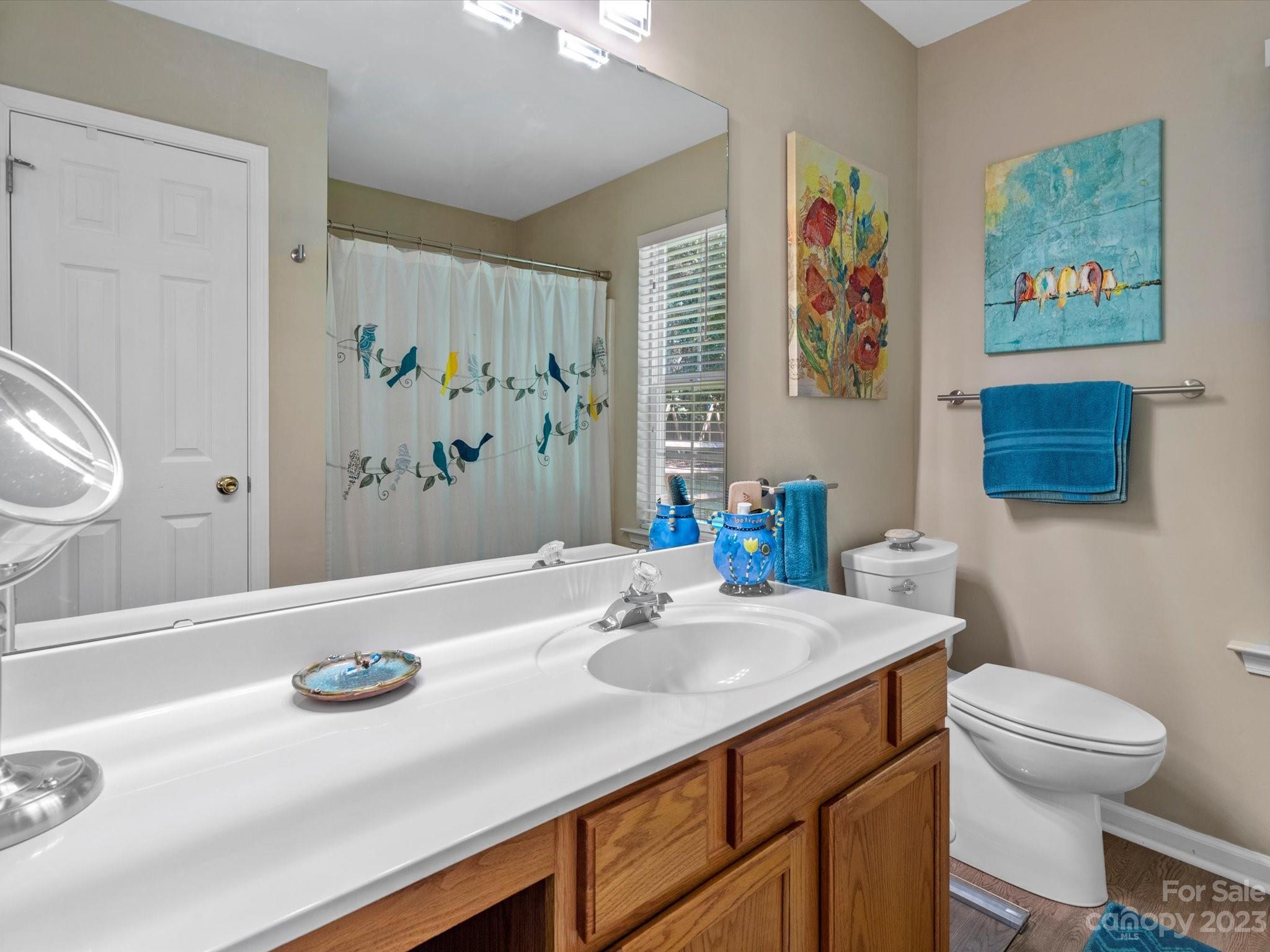 14510 Arbor Ridge Drive Charlotte, NC 28273 - Photo 22 of 34 a bathroom with a sink a toilet and a large mirror