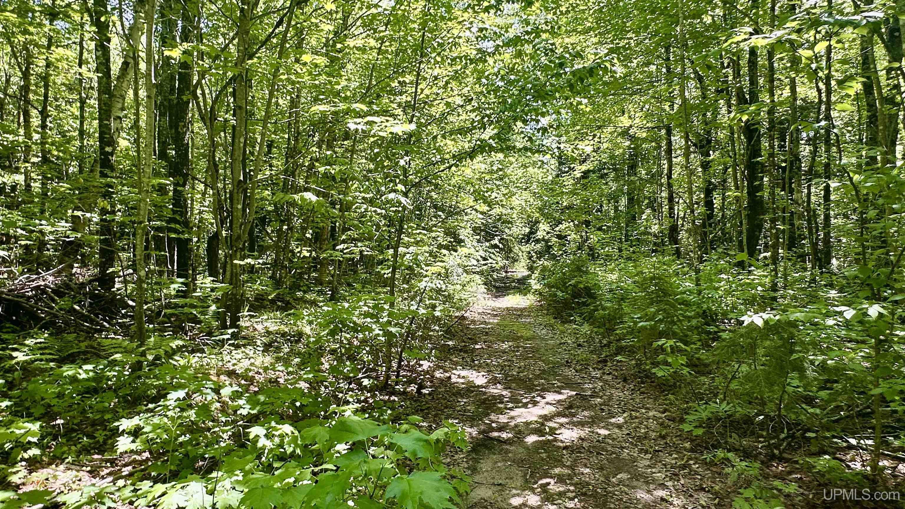 7450 Northwestern Road Big Bay, MI 49808 - Photo 2 of 58