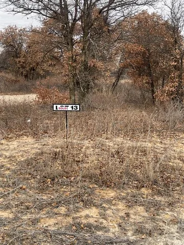 a view of a dry yard with trees in the background