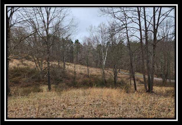 0 Metheny Fairplay Road, Unit TRACT 1) Vinton, OH 45686 - Photo 25 of 41 image024