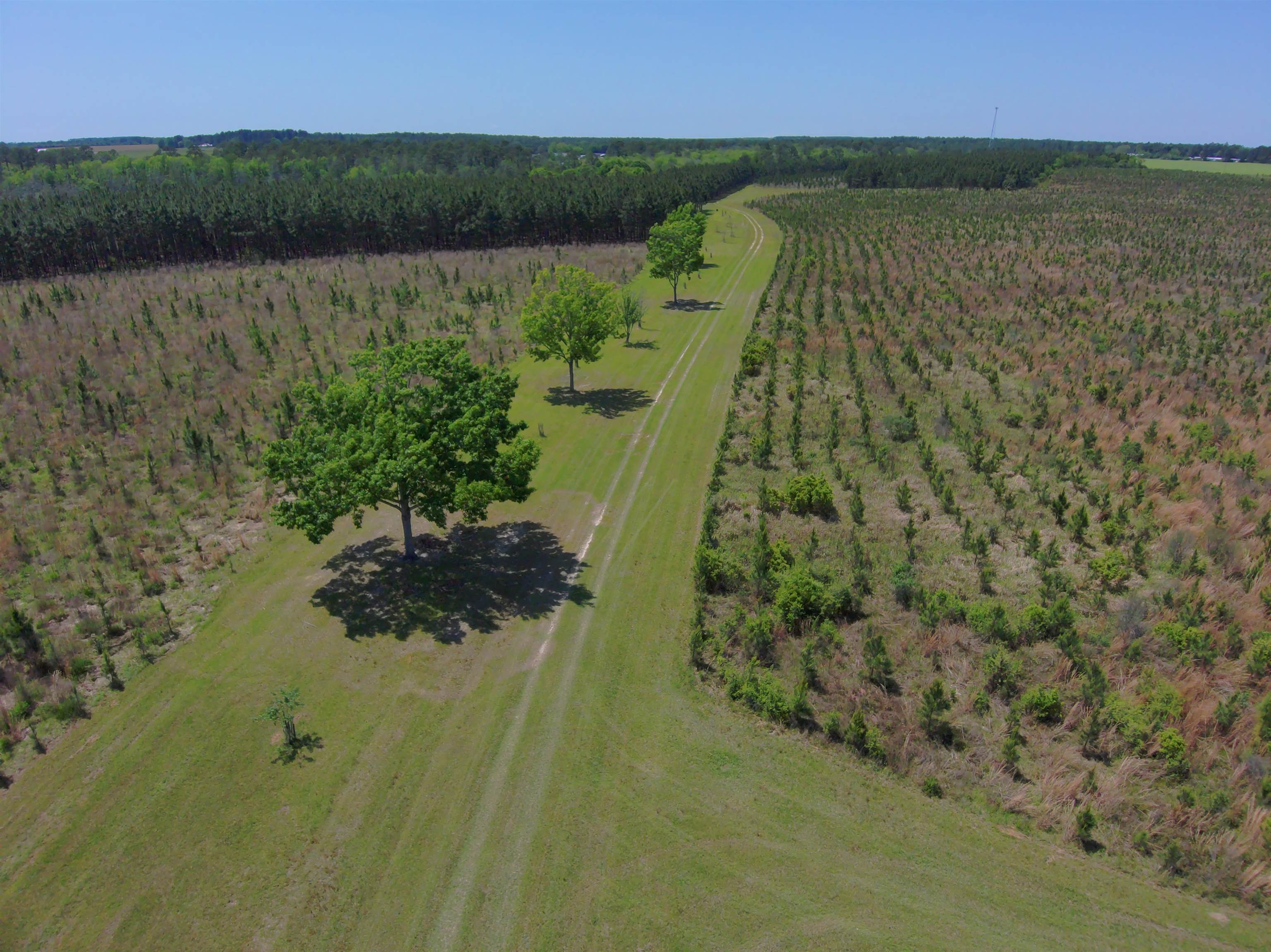 87 County Road 87 Elberta, AL 36530 - Photo 23 of 66 Aerial View