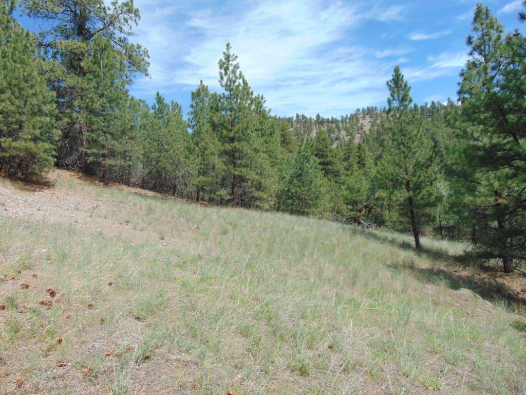 19 Lookout Lane Cascade, MT 59421 - Photo 29 of 30 Gallery Image 29