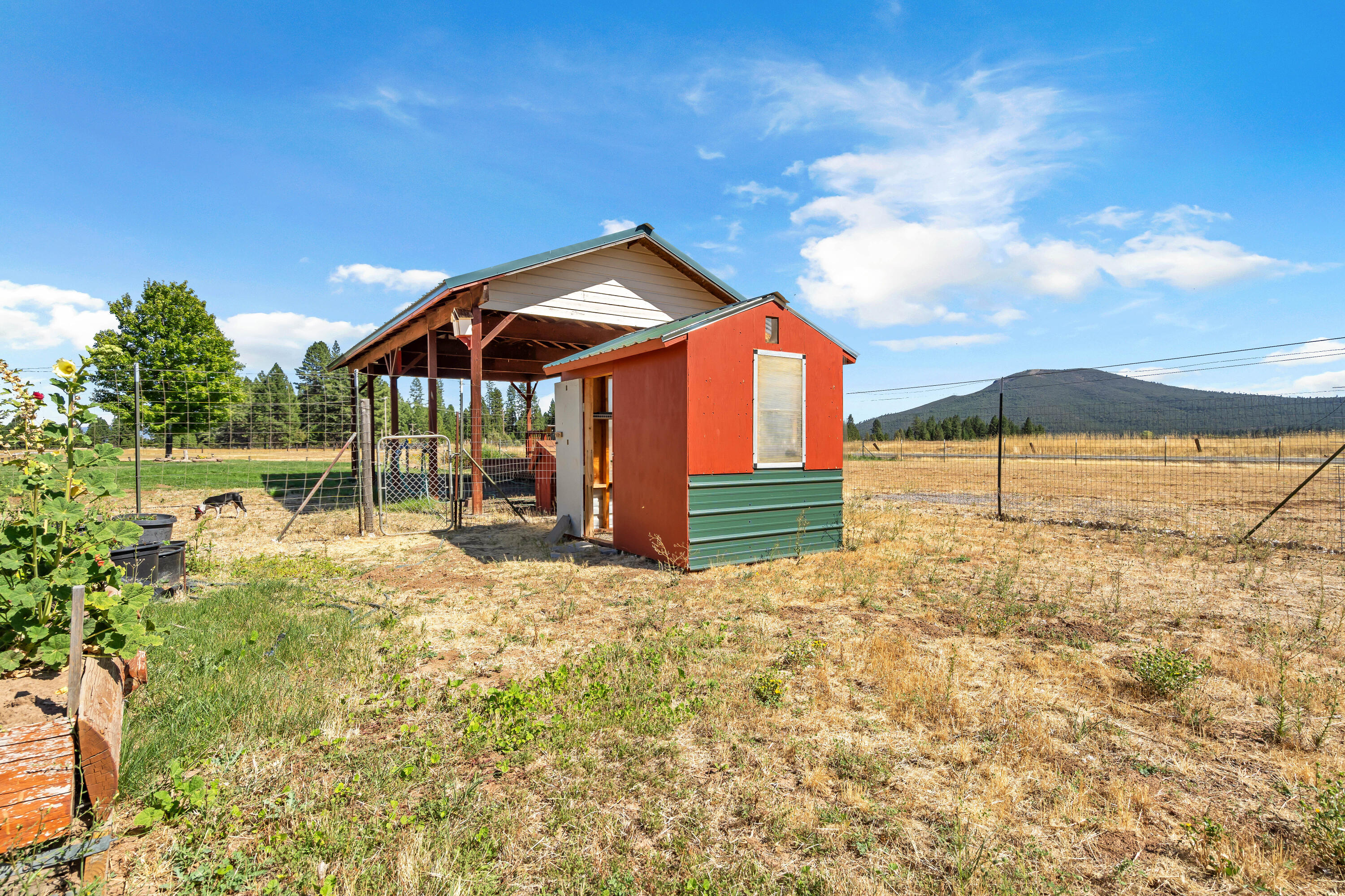 26929 Linfield Street Fall River Mills, CA 96028 - Photo 56 of 66 a view of a house with backyard and porch