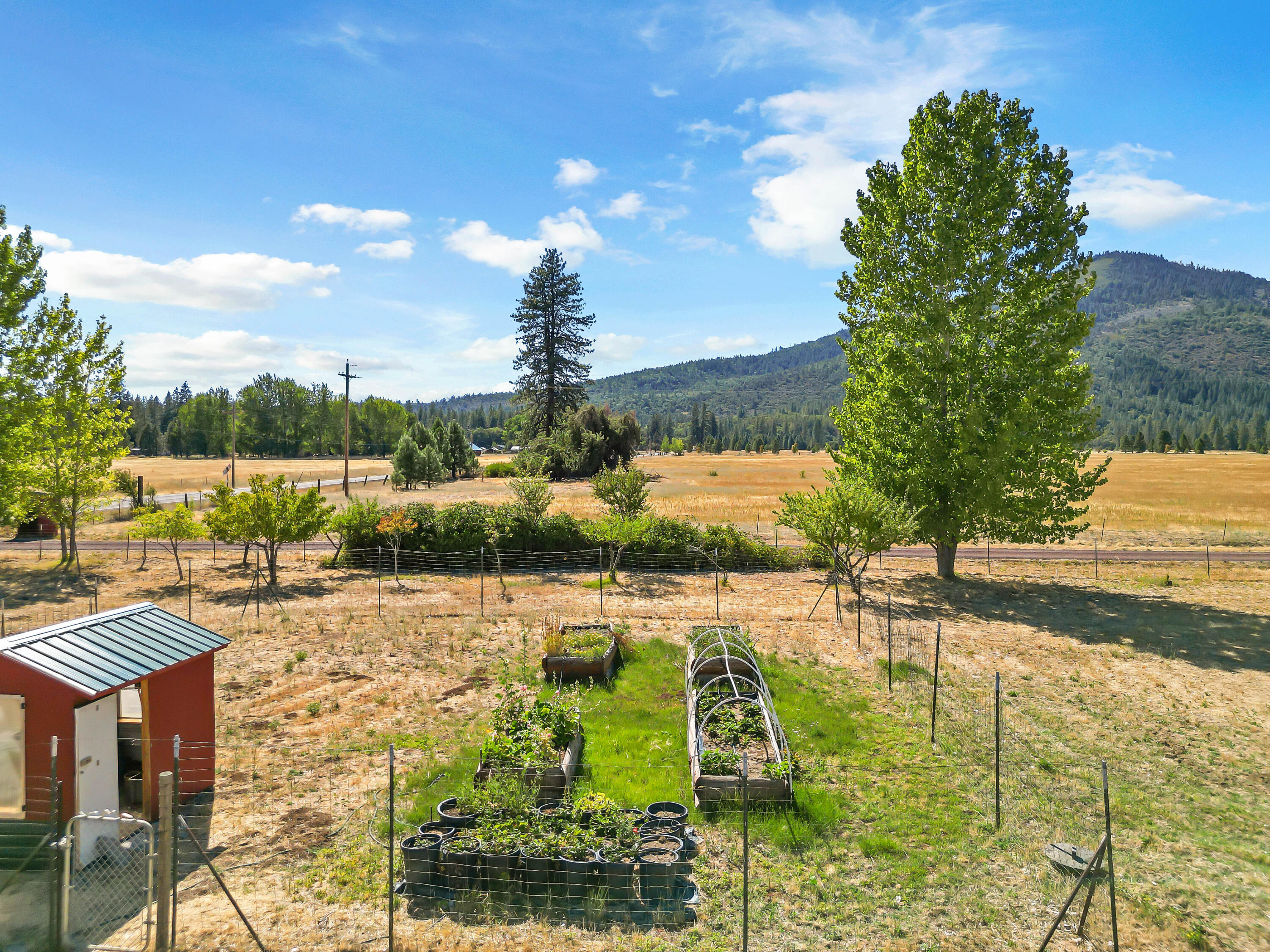 26929 Linfield Street Fall River Mills, CA 96028 - Photo 57 of 66 a view of an outdoor space and yard
