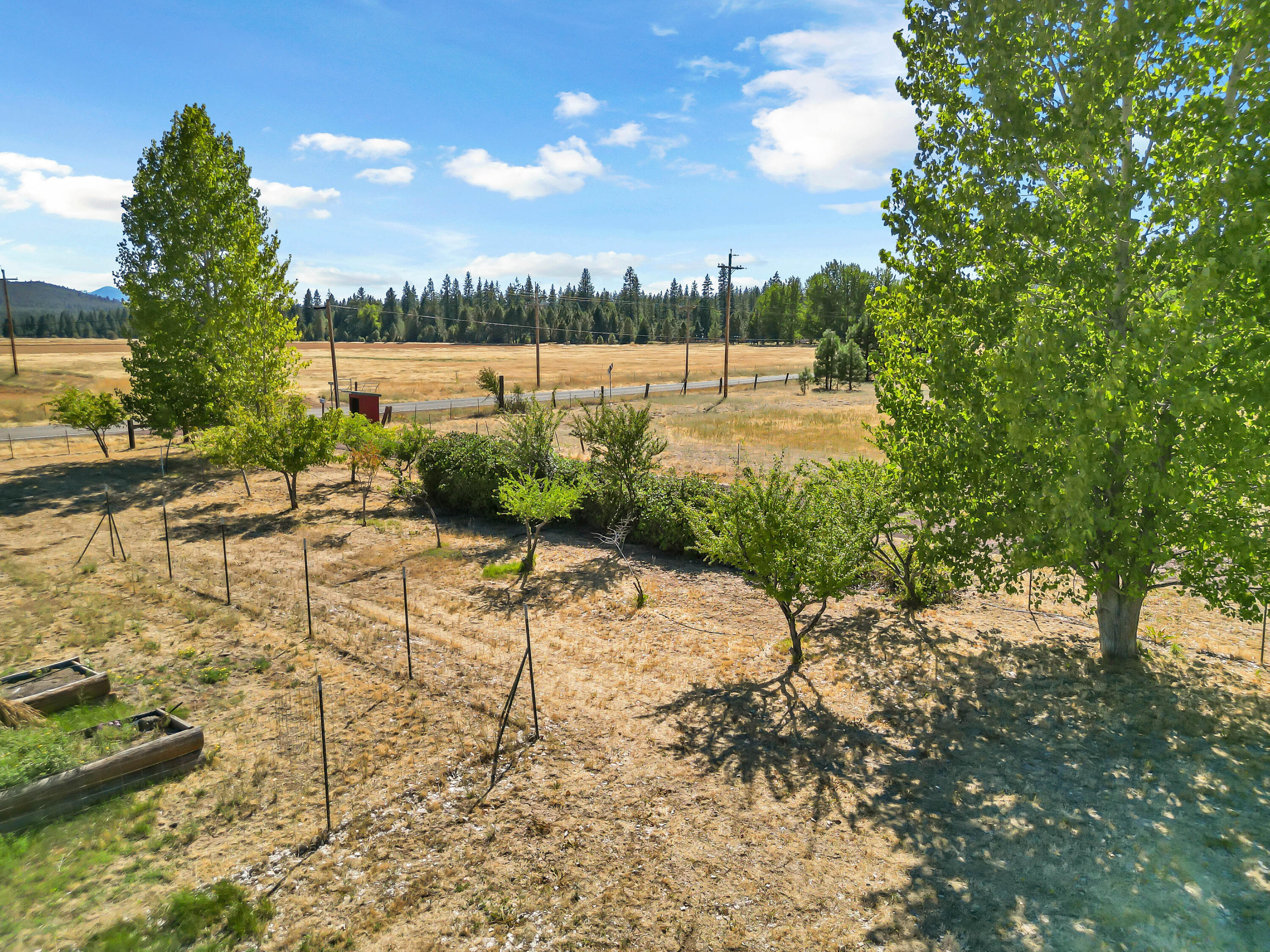 26929 Linfield Street Fall River Mills, CA 96028 - Photo 58 of 66 26929LinfieldStreet-57 - Copy