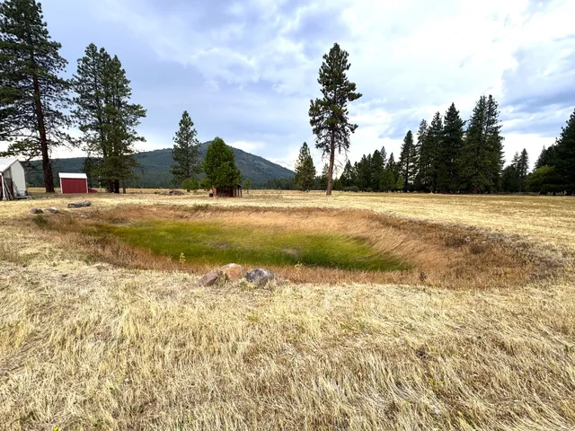 $427,500 | 26929 Linfield Street, Fall River Mills, CA 96028