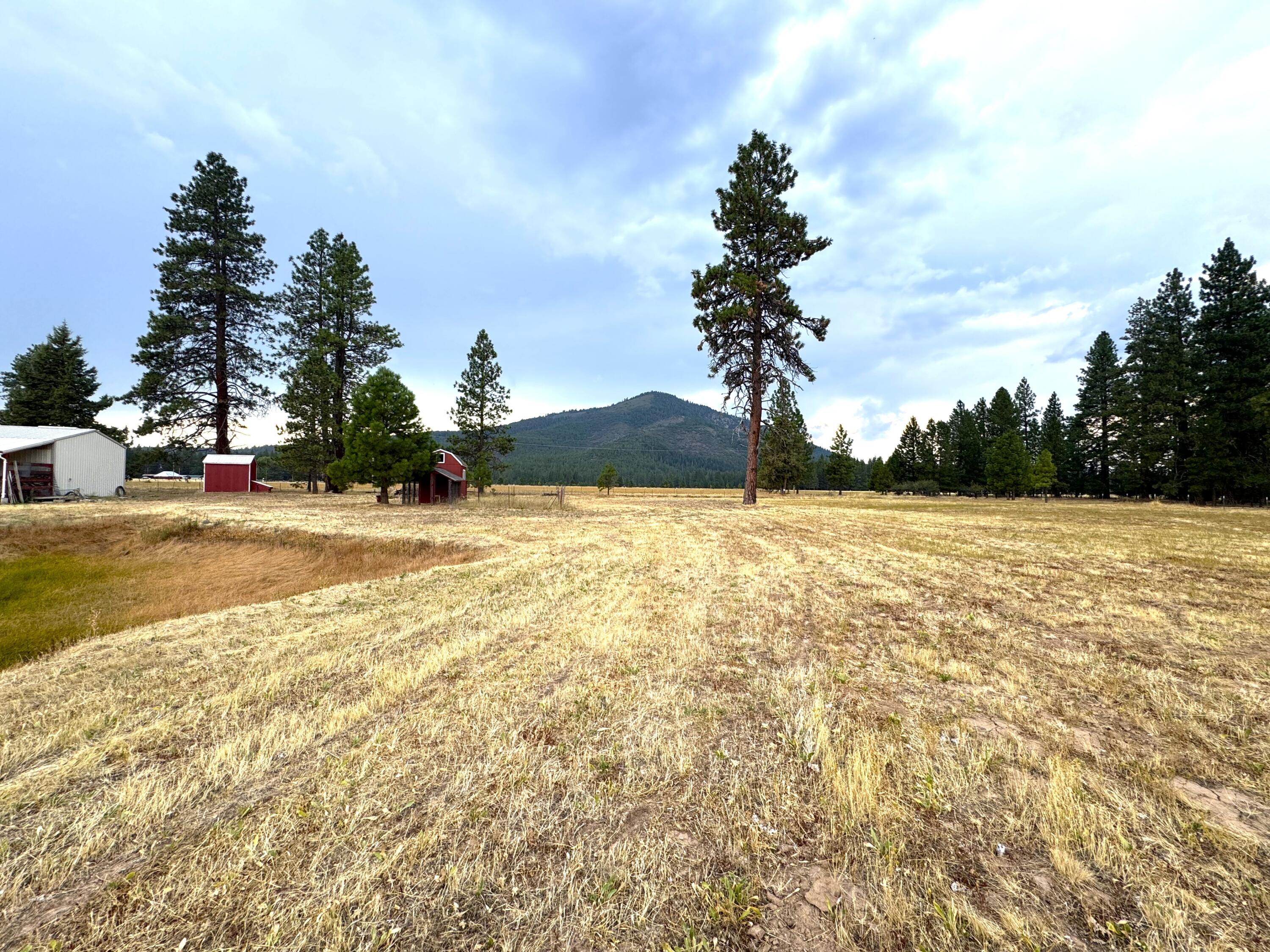 26929 Linfield Street Fall River Mills, CA 96028 - Photo 65 of 66 a view of an outdoor space and swimming pool