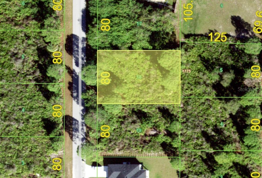 an aerial view of a yard with plants
