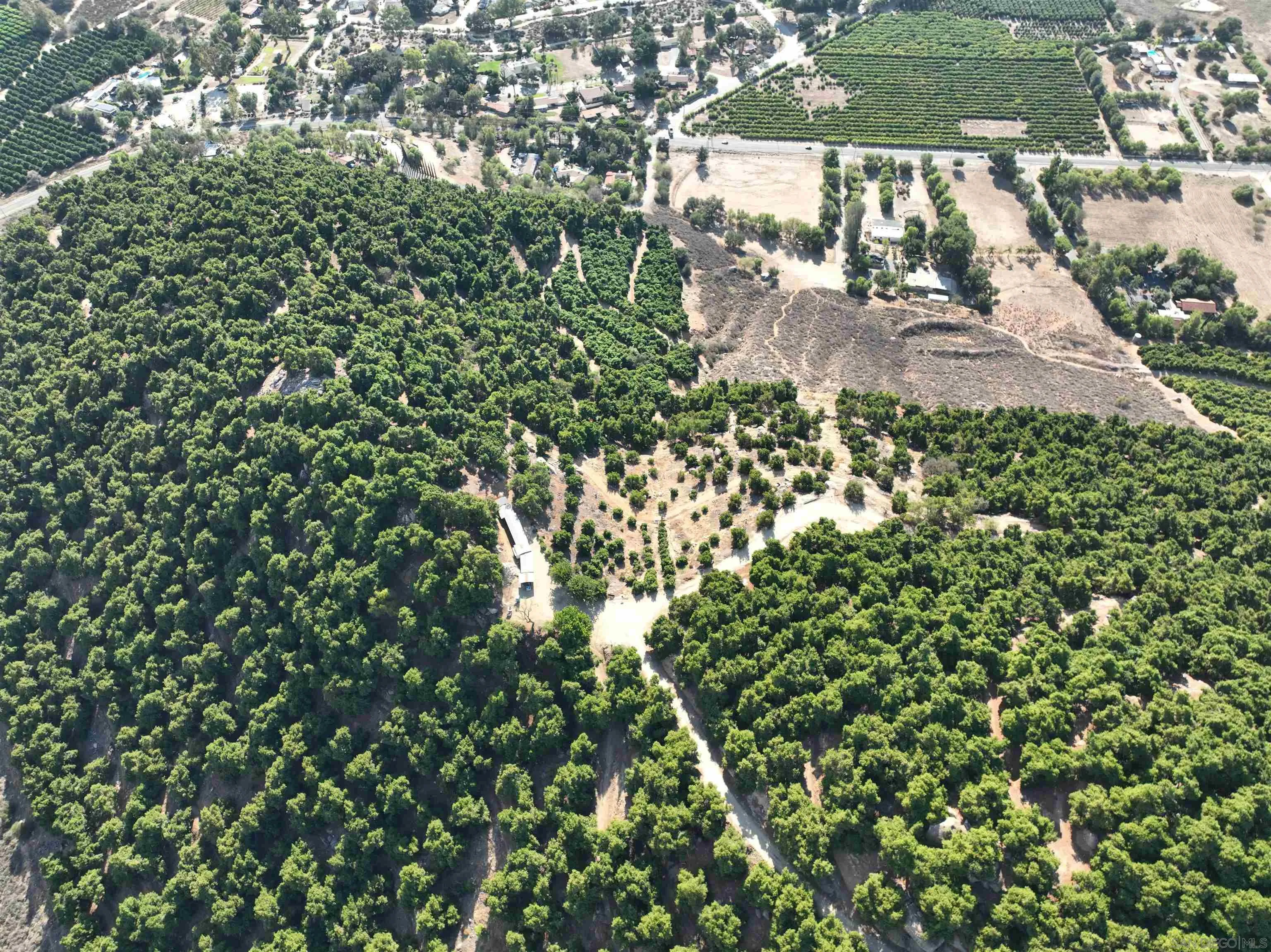 32375 Sams Mountain Road, Unit 31 Pauma Valley, CA 92061 - Photo 8 of 10 a view of a yard with plants