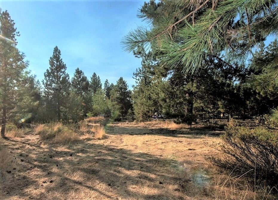 60019 Cheyenne Road Bend, OR 97702 - Photo 10 of 10 Make this property your own!