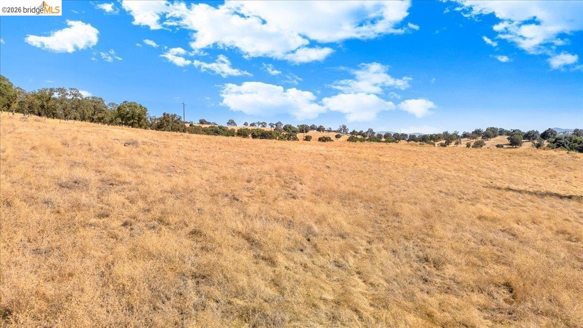 0 George Reed Drive San Andreas, CA 95249 - Photo 16 of 23 Gallery Image 16