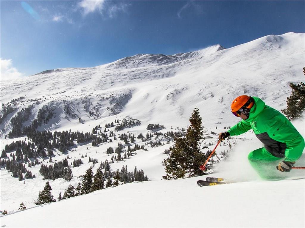 22 Braddock Drive Breckenridge, CO 80424 - Photo 10 of 35 a view of a dry yard