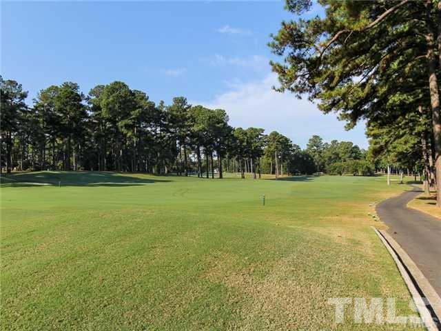 7003 North Ridge Drive Raleigh, NC 27615 - Photo 25 of 25 a view of a garden with trees