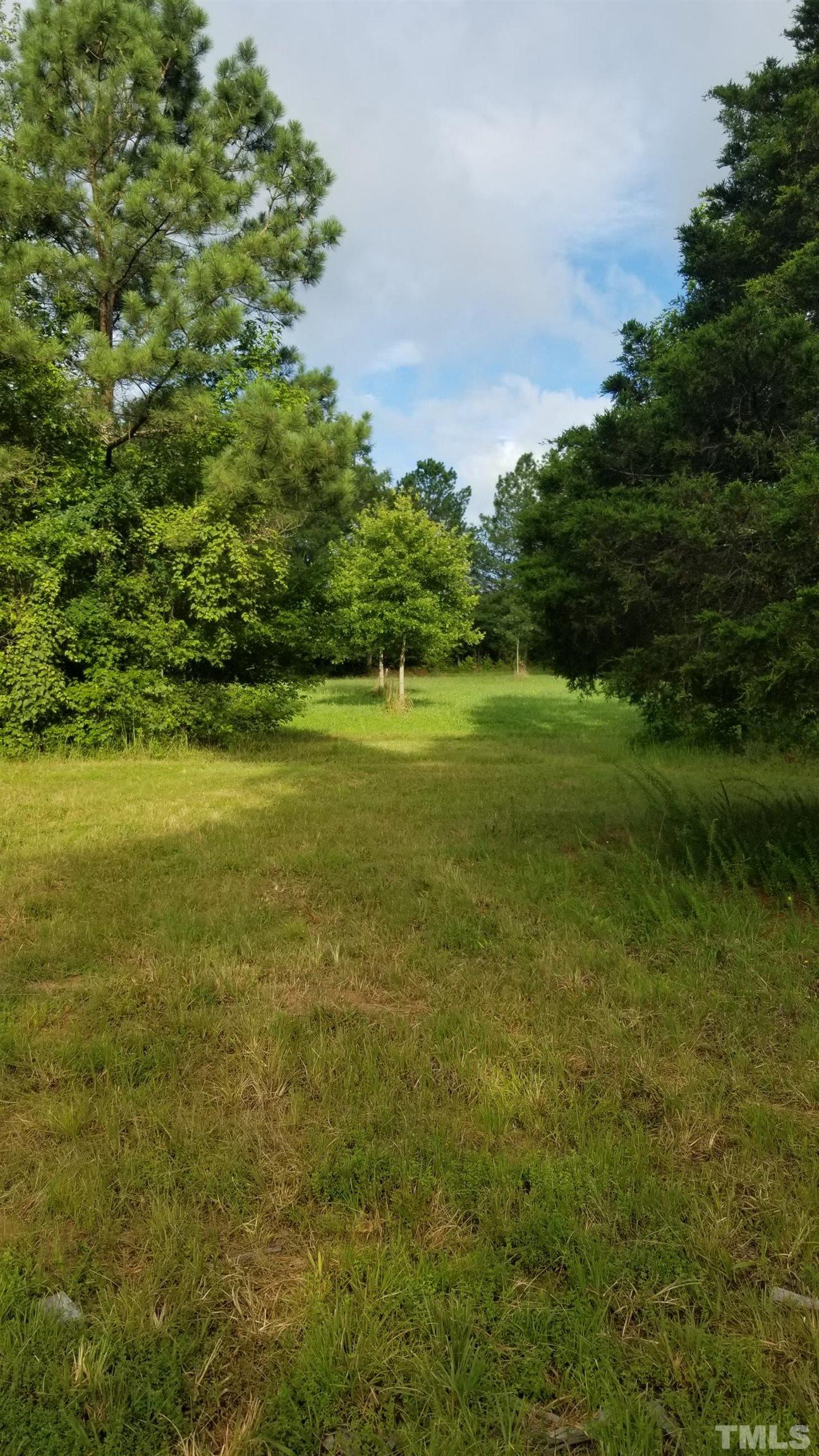 360 Caley Wilson Road Apex, NC 27523 - Photo 4 of 18 Gallery Image 4