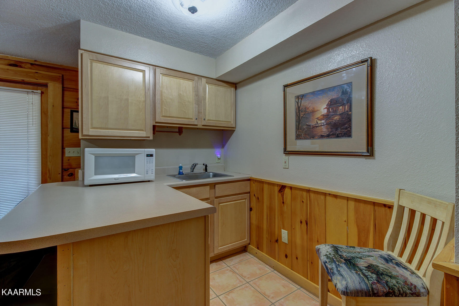 336 Big Bear Way Pigeon Forge, TN 37863 - Photo 25 of 51 25