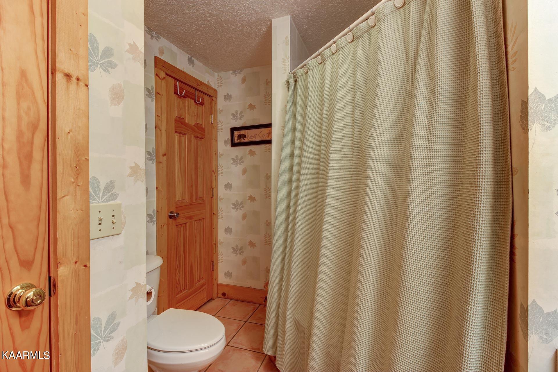 336 Big Bear Way Pigeon Forge, TN 37863 - Photo 33 of 51 33