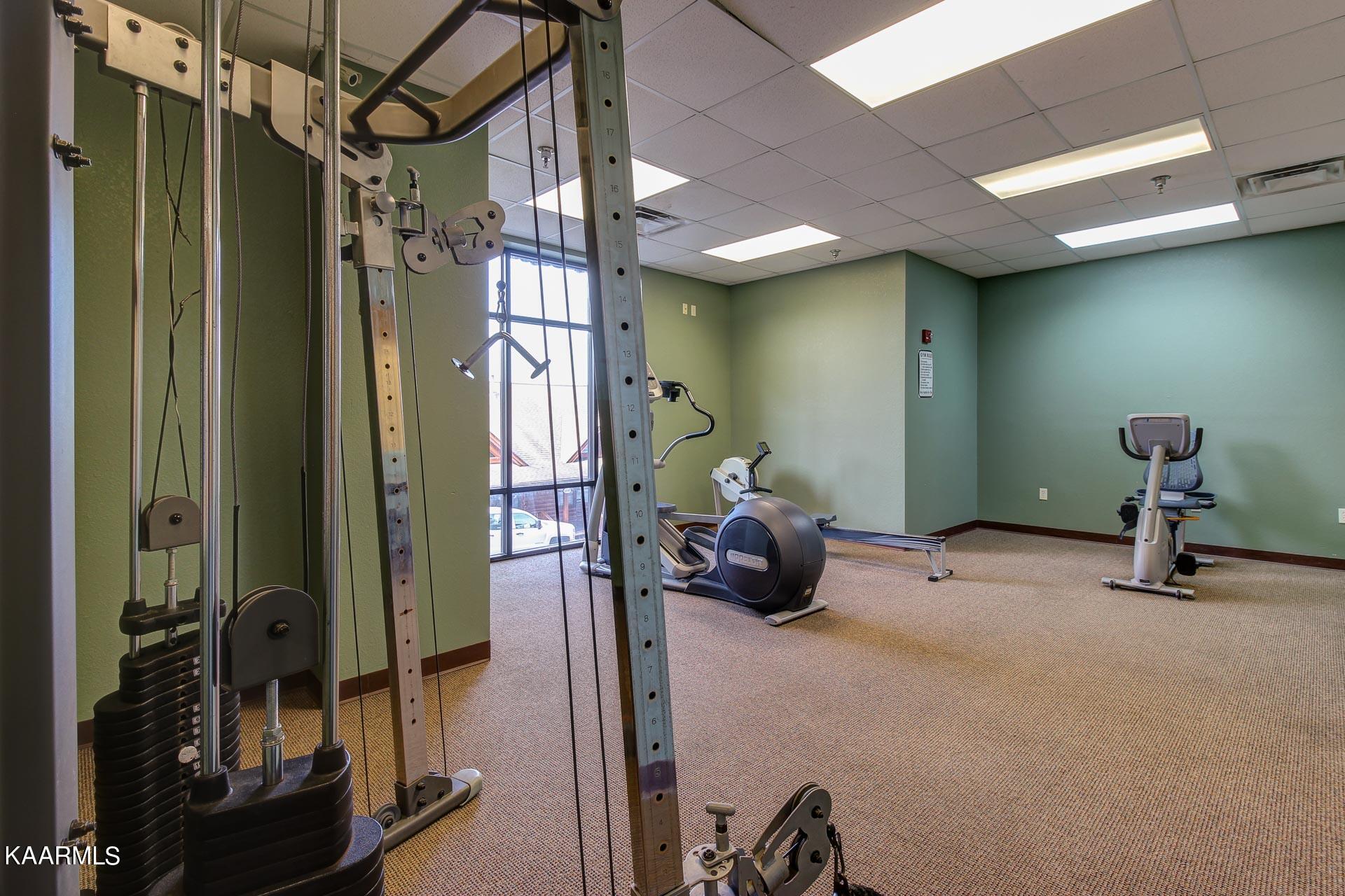 336 Big Bear Way Pigeon Forge, TN 37863 - Photo 45 of 51 Big Bear K