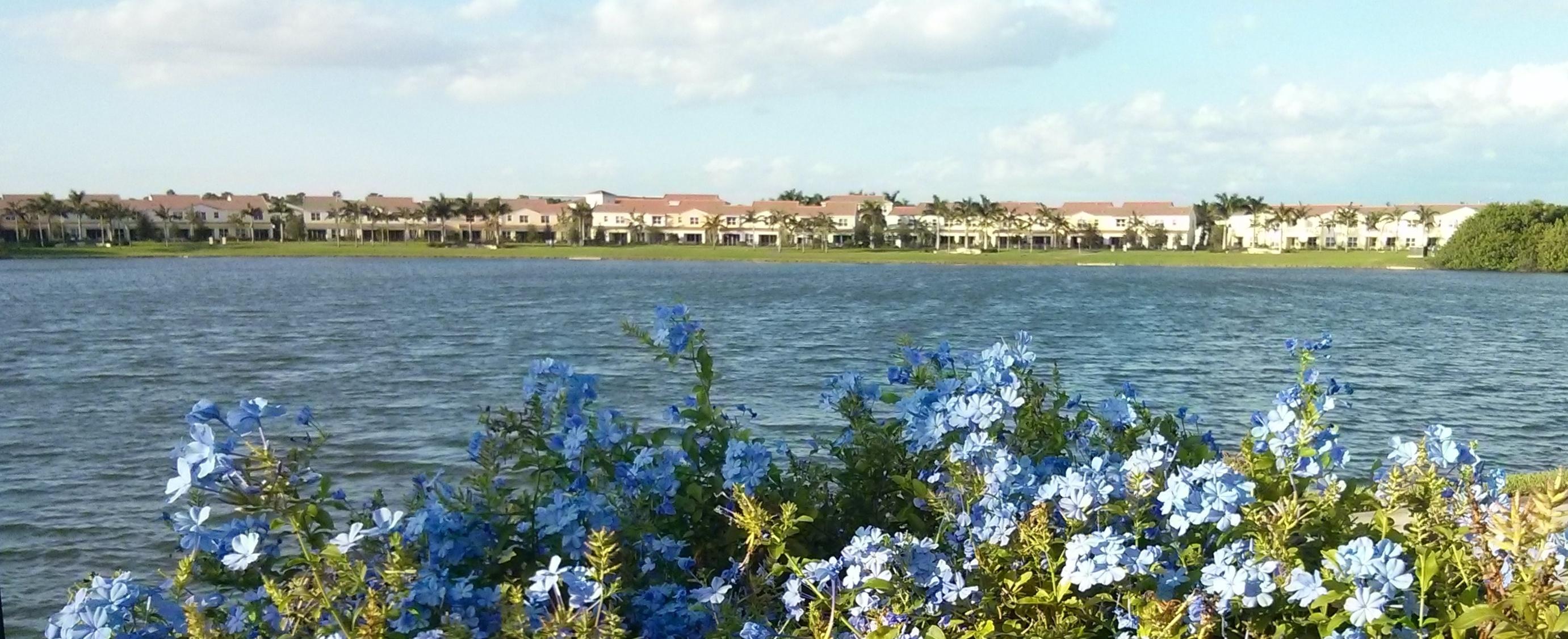 1431 Northwest 48th Lane Boca Raton, FL 33431 - Photo 39 of 44 blue panoramic centra lake - Copy