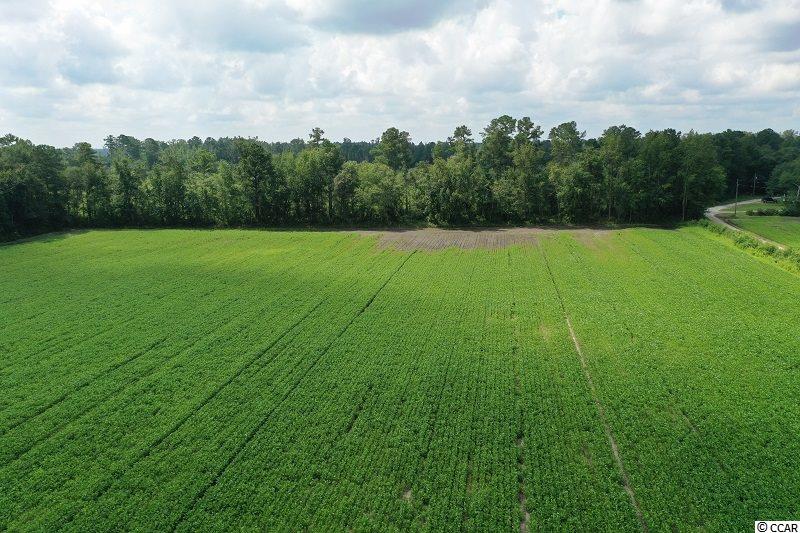0 John L Road Maxton, NC 28364 - Photo 2 of 17 Gallery Image 2
