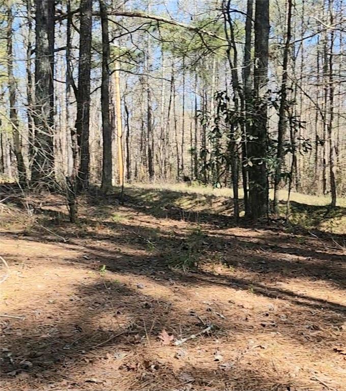 3274 Aaron Sosebee Road Cumming, GA 30028 - Photo 3 of 21