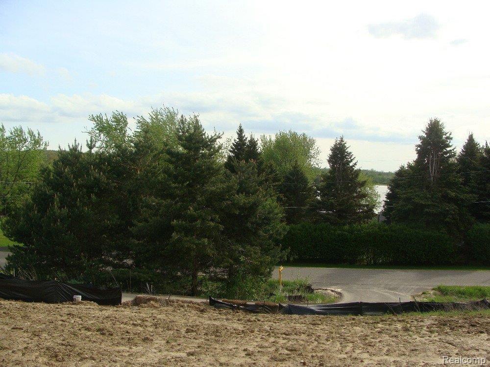 1416 Pebble Creek Road Metamora, MI 48455 - Photo 5 of 18 view from front porch
